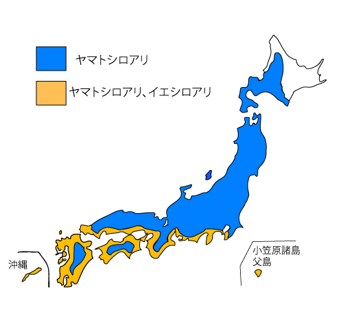 日本のシロアリ分布図