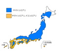 シロアリ分布図